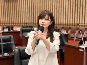 封鎖網友隱藏留言 陳美雅：民進黨活成自己討厭的樣子