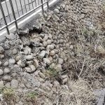 龍井區龍泉市場前道路塌陷 地主父子與區長當面進行溝通