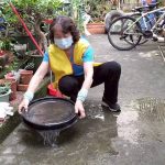 雨後嚴防登革熱與鼠患 環保局籲全民合作