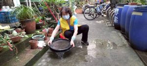 雨後嚴防登革熱與鼠患 環保局籲全民合作