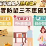 預防漢他病毒、落實三不策略