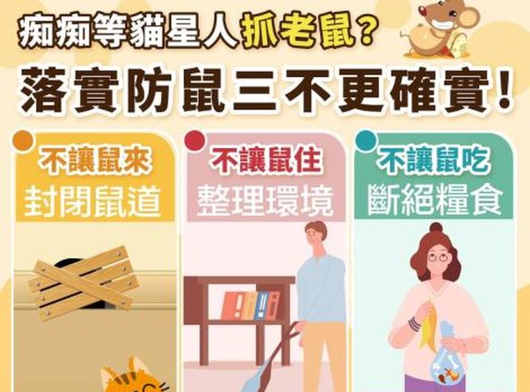預防漢他病毒、落實三不策略