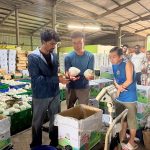 高市媒合外籍生暑假投入燕巢芭樂產區農務工作