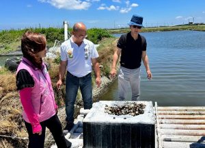 雲林沿海文蛤災損嚴重 劉建國促加速災害救助