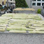 夏天越瓜成熟時　正是醃製「鹽瓜仔」時侯