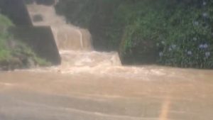 南投杉林溪野溪水暴增！ 園區步道成小瀑布