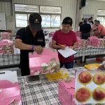 中市優質果品評鑑 江家興榮獲「水蜜桃達人」