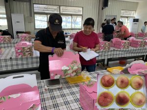 中市優質果品評鑑 江家興榮獲「水蜜桃達人」