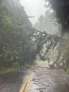 強風掃進竹山、鹿谷 致525戶停電