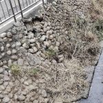 排水溝塌陷破損問題拖延已久未解強颱來襲恐讓災害 地主提警告