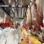 借鏡法國先進經驗 嘉義縣推動智慧化現代肉品市場升級
