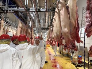 借鏡法國先進經驗 嘉義縣推動智慧化現代肉品市場升級