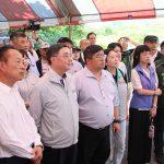 朴子市肉品市場改建拍板核定旗艦市場