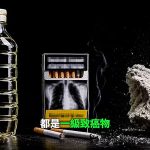 警方偵辦「油不得你」影片 劉世芳：尊重偵查不公開 國民黨聲援韋淳祐