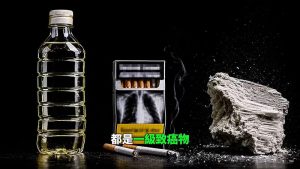 警方偵辦「油不得你」影片 劉世芳：尊重偵查不公開 國民黨聲援韋淳祐