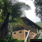 奮起湖地景美學公廁 啟用