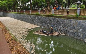 楠梓後勁溪又出現死魚漂浮 疑業者違規排放廢水