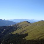 暑假避暑首選 合歡山沁涼迎夏 邀您漫遊高山森林、欣賞雲海星空