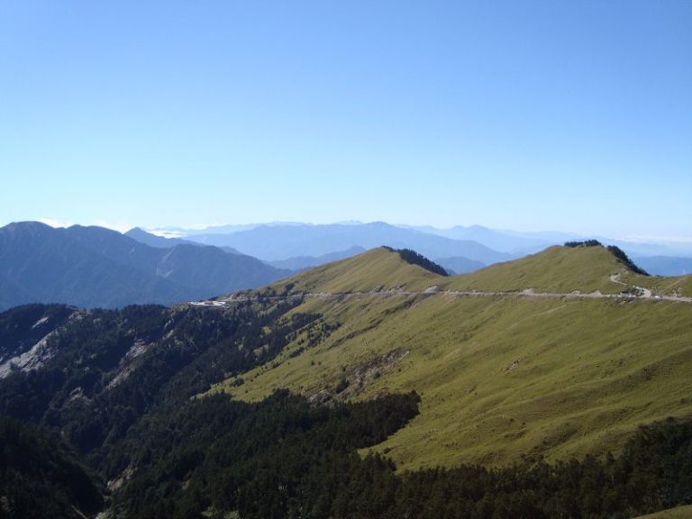 暑假避暑首選 合歡山沁涼迎夏 邀您漫遊高山森林、欣賞雲海星空