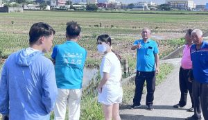 梧棲大排閘門未防漲潮致海水倒灌二期新稻慘遭海水淹沒