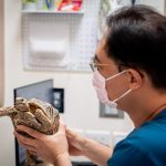 異寵禁養新制上路 引熱議