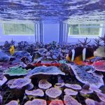 國立海科館首度攜手Xpark展開養殖技術成果交流