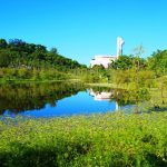 高雄雙湖森林公園彩蝶漫天飛舞 賞蝶遊憩都市生態樂園