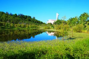高雄雙湖森林公園彩蝶漫天飛舞 賞蝶遊憩都市生態樂園