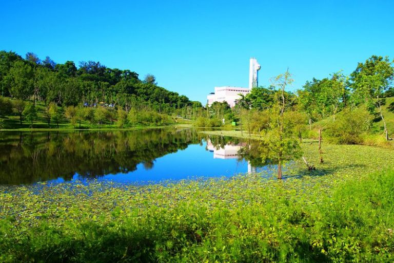 高雄雙湖森林公園彩蝶漫天飛舞 賞蝶遊憩都市生態樂園