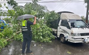 風雨無阻守護民眾 豐警即時排除倒樹化危機
