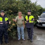 登山勿把果樹當自助吧 豐原警啟動護柿專案守護