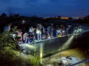 探索高美濕地生物多樣性 中市農業局推日間導覽及夜間陸蟹保育體驗