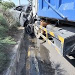 七股台17線疑爬蟲動物穿越道路釀車禍