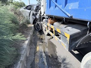 七股台17線疑爬蟲動物穿越道路釀車禍