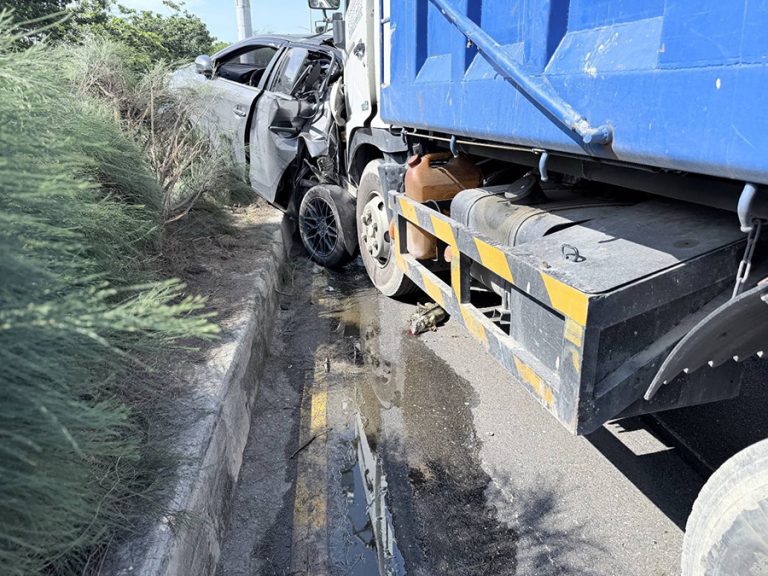 七股台17線疑爬蟲動物穿越道路釀車禍