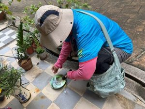 世界蚊子日 屏東啟動防疫聯防