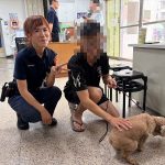 事故處理不忘守護生命 警暖心安置受驚紅貴賓