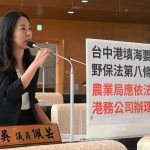 台中港填海造陸 恐影響白海豚生態環境 吳佩芸要求環評 落實保育責任