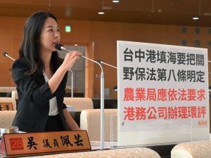 台中港填海造陸 恐影響白海豚生態環境 吳佩芸要求環評 落實保育責任