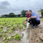 大雨持續侵襲 農業局長關心農作物受損