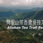 2026阿里山茶香雲徑接力賽 開放報名