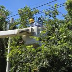 沙德爾颱風雖已過 台電籲不可鬆懈