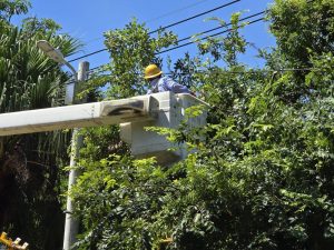 沙德爾颱風雖已過 台電籲不可鬆懈