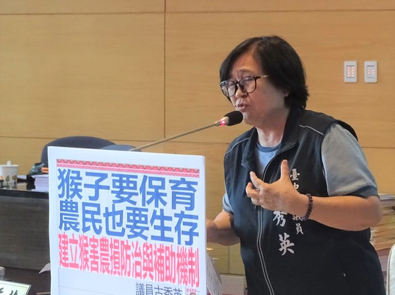 甜柿收成期遭嚴重猴害 古秀英籲拿出驅猴良策