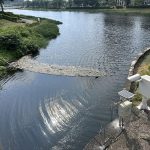 後勁溪水質又出現變化 環保局設水質感測器