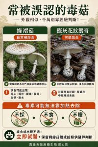 分隔島綠褶菇 切勿採摘食用