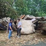 中興新村步道一夜長出「床墊山」 南投環保局與警聯手追查