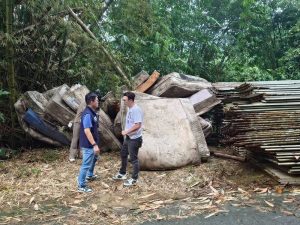 中興新村步道一夜長出「床墊山」 南投環保局與警聯手追查