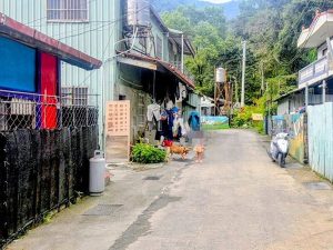 夫妻酒後爭吵 妻氣炸當街開瓦斯慘了