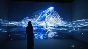 海科館全新常設展「海洋光影劇場」 揭幕